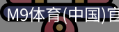M9体育